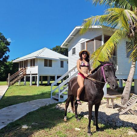 Horse Cottage Sarteneja Extérieur photo